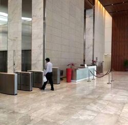 Mapletree Anson (D2), Office #508442331